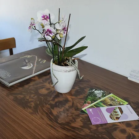 Apartma Narava Begunje pri Cerknici Room photo
