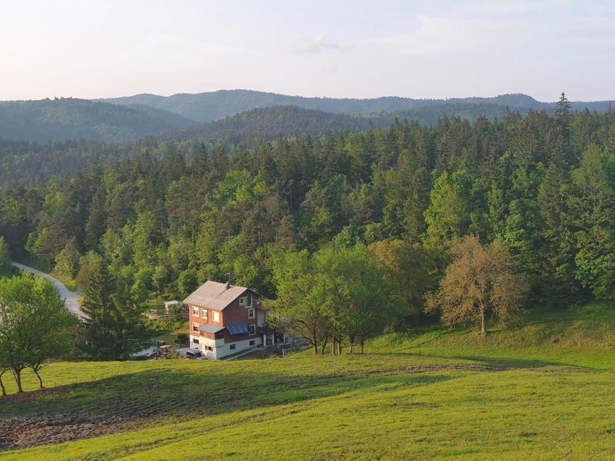 Apartma Narava Begunje pri Cerknici