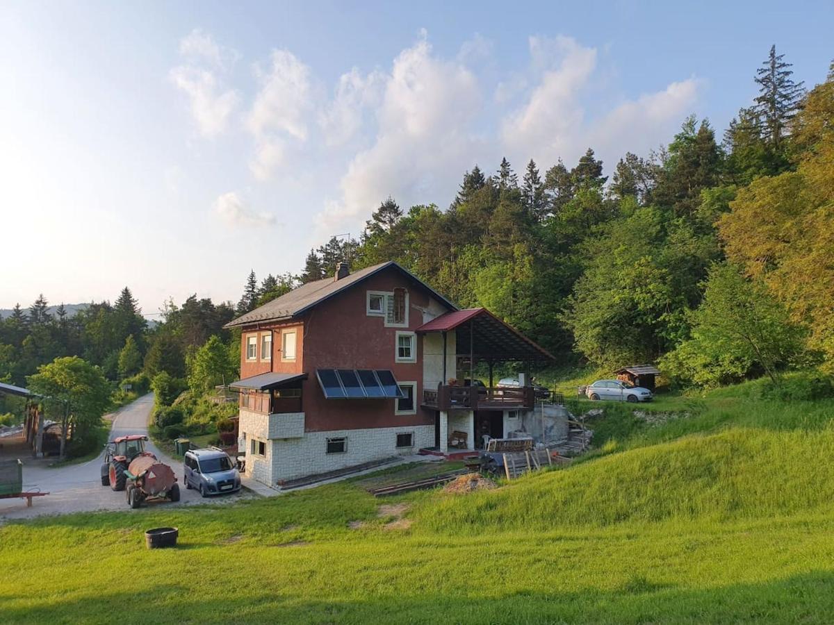 Apartma Narava *