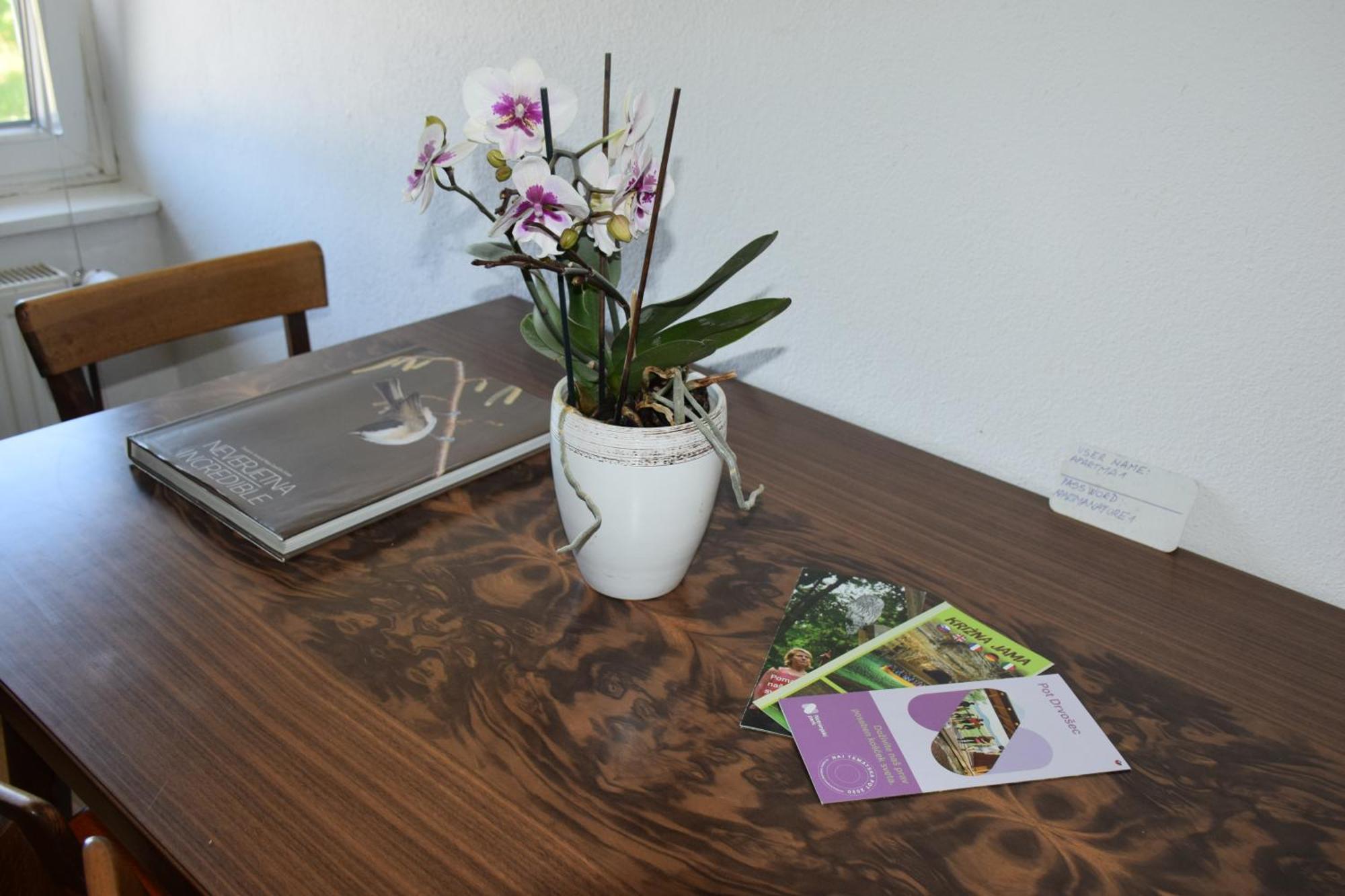 Apartment Apartma Narava